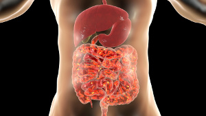Carência de selénio e de que modo afecta a flora intestinal, doenças intestinais e saúde mental